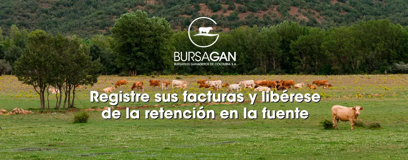 Bursagan registro de facturas