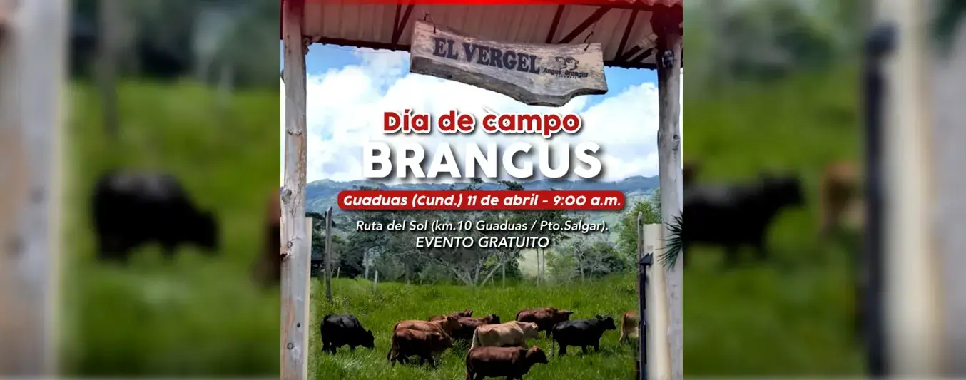 Día de campo Brangus en La Dorada