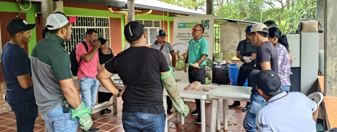 Arauca emprende la ruta de la reproducción y la inseminación artificial