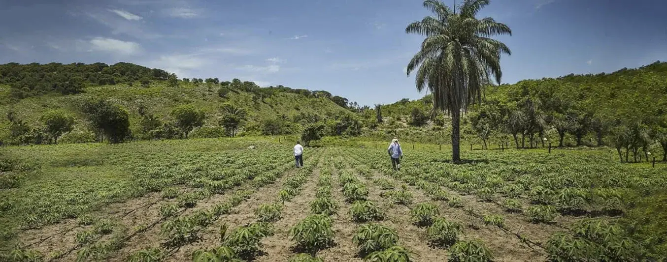 Jurisdicción agraria