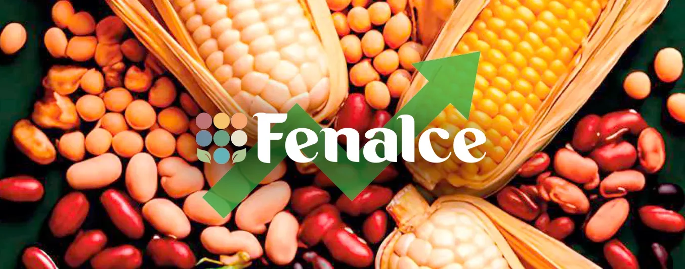 Consumo nacional de cereales, leguminosas y soya crece todos los días