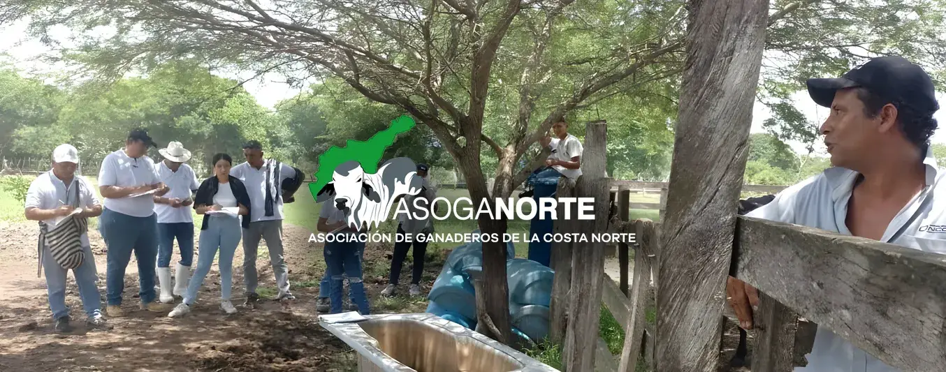 Escuela de Mayordomía