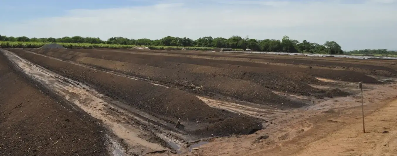 Cómo hacer compost con subproductos de la caña de azúcar