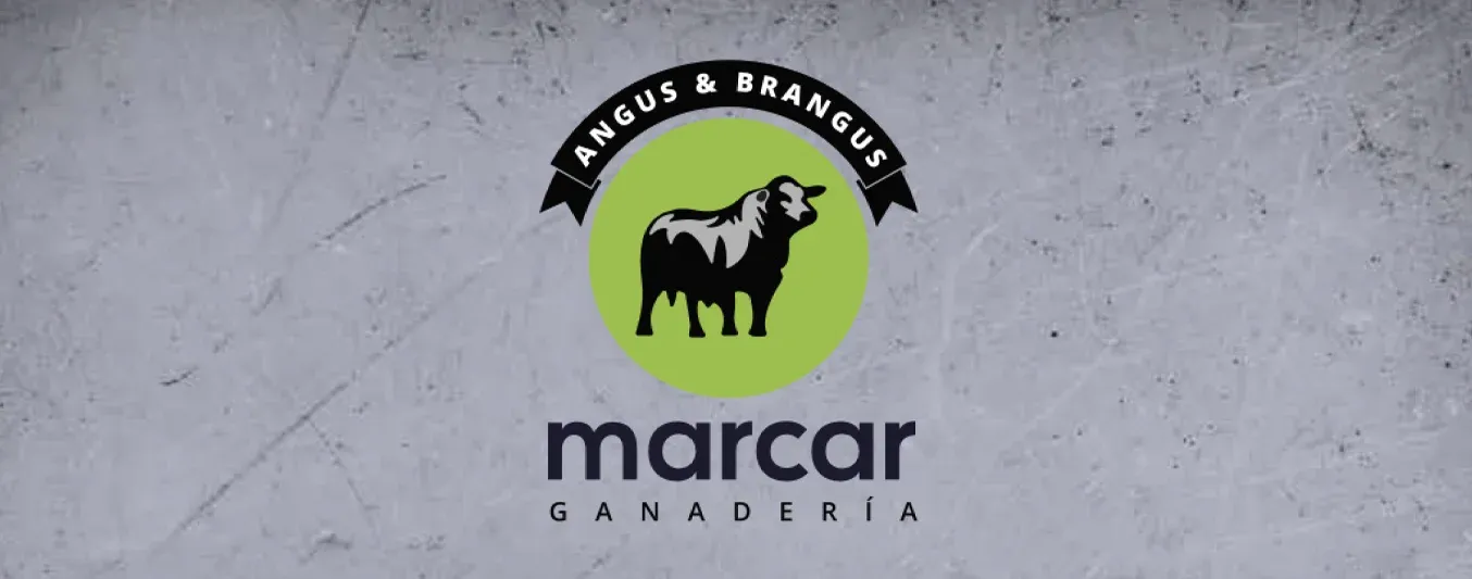 Marcar Ganadería