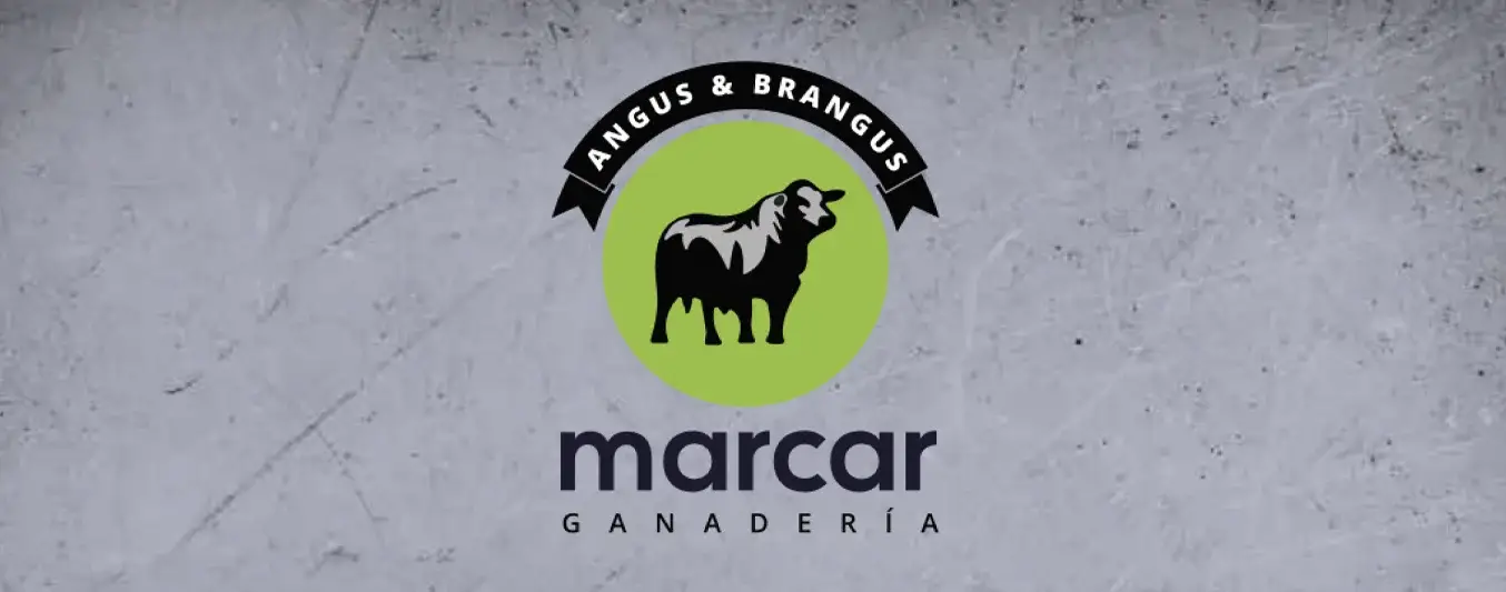 Marcar Ganadería