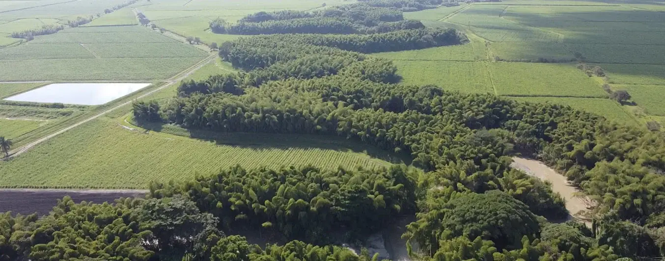 Conexión de gran corredor biodiverso del río Cauca