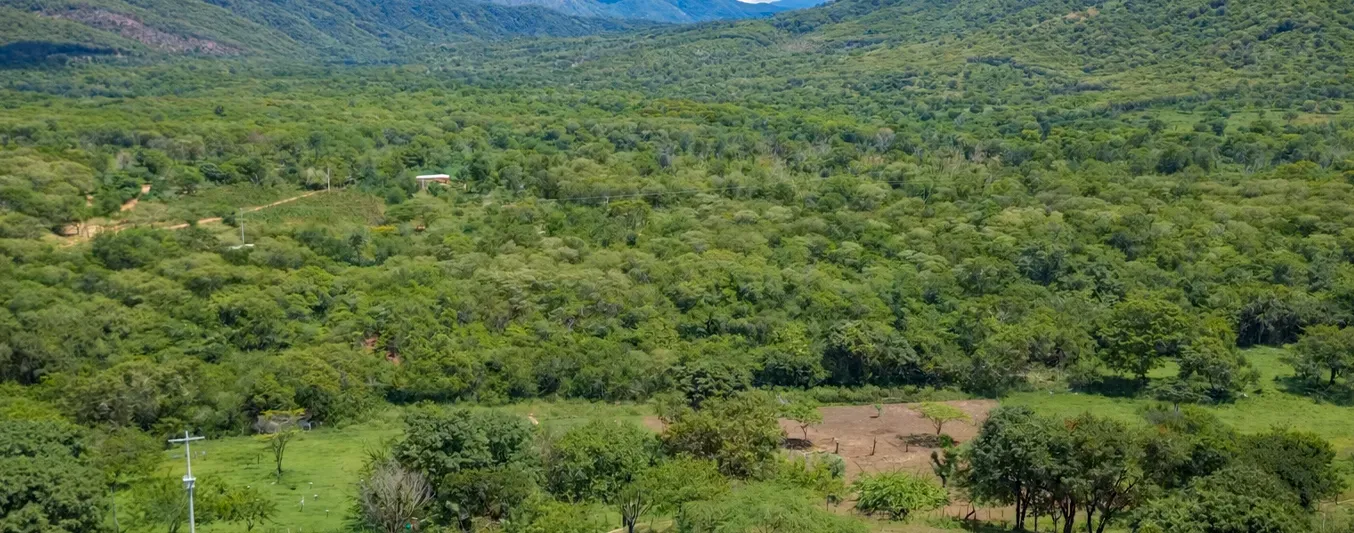 Prácticas de reconversión en proyecto desarrollado en San Juan, Cesar