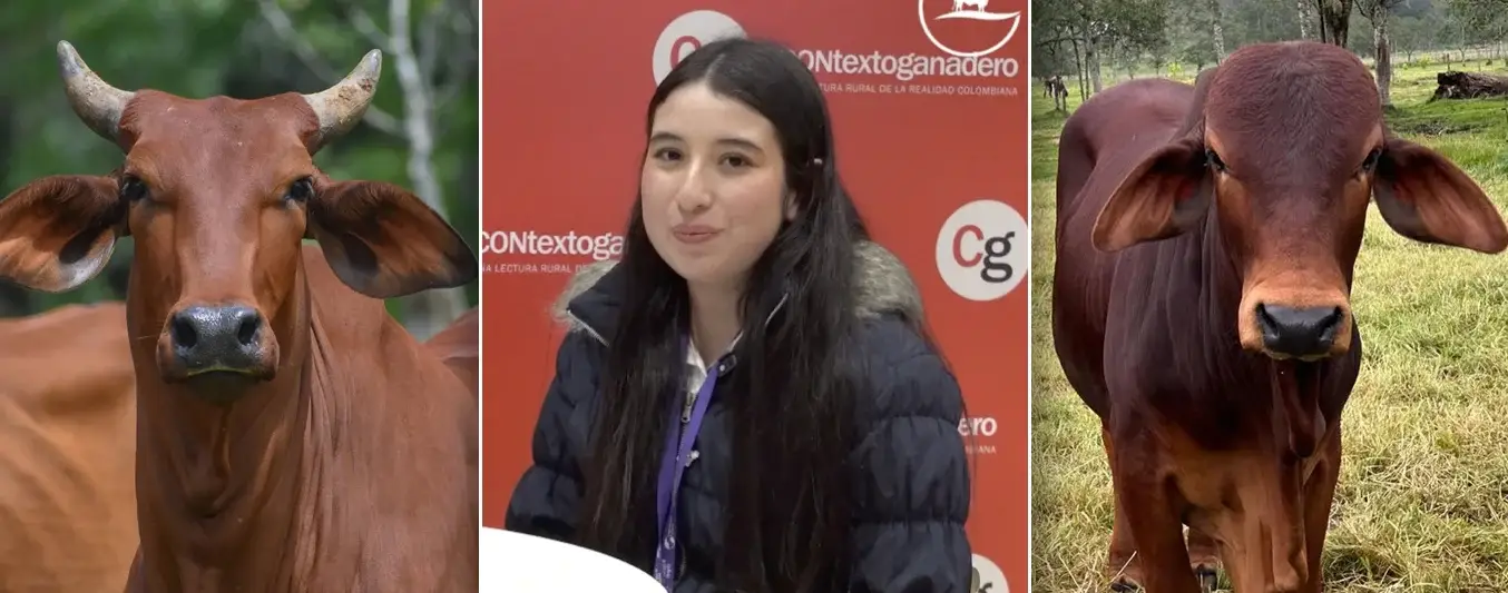 Silvana Saldarriaga