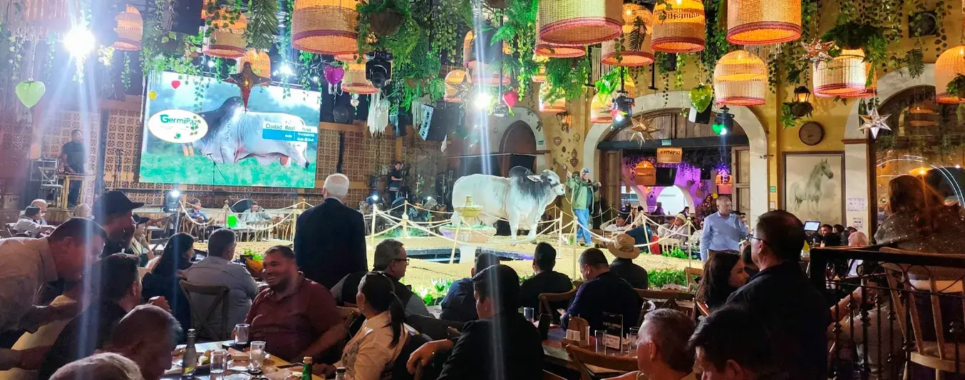 Se vendieron más de 2 mil millones de pesos en remate de brahman gris