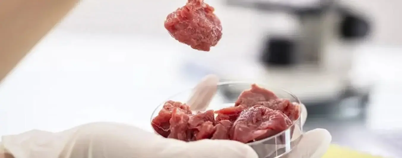 En EEUU dieron marcha atrás al financiamiento en carne de laboratorio