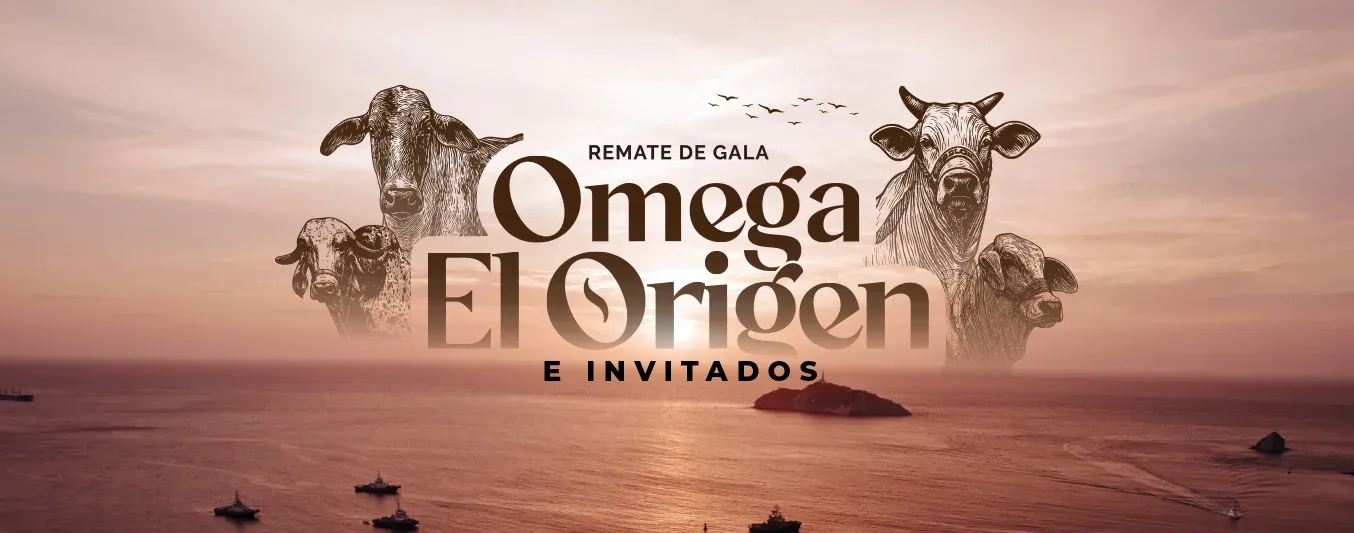 Un remate frente al mar