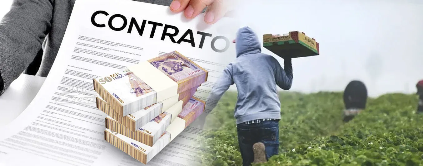 Alerta por contratos con recursos parafiscales Agro