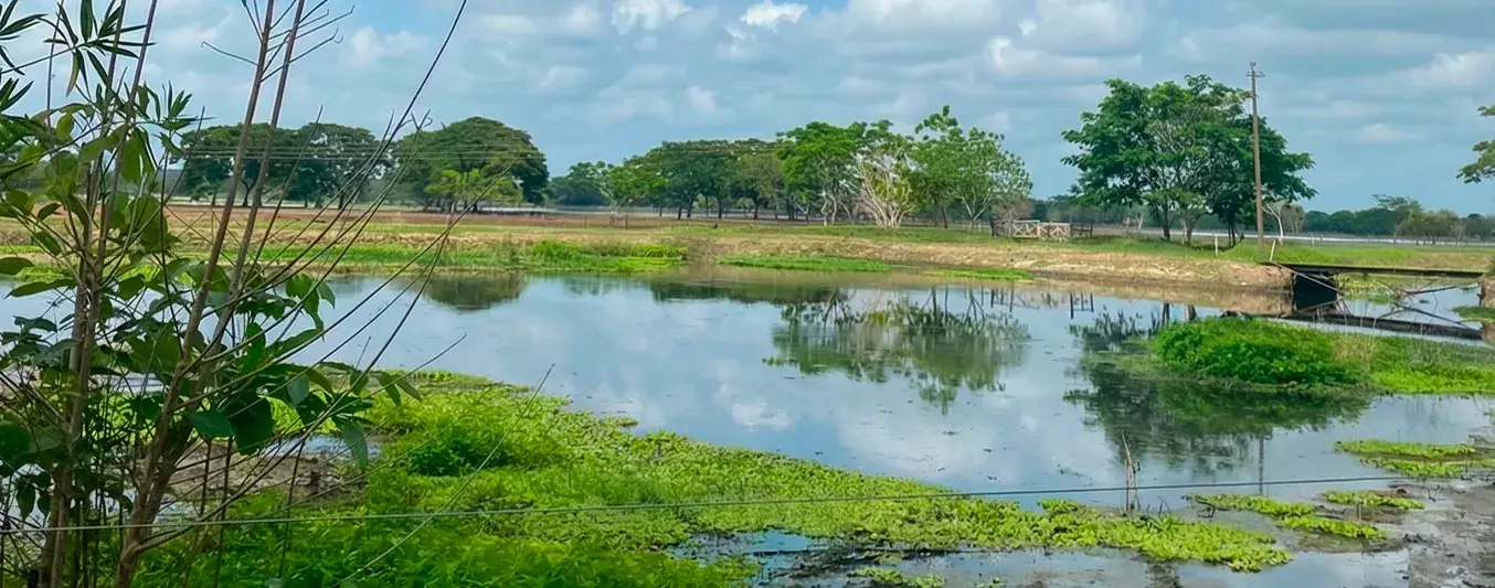 En Córdoba se ha ido el agua, la recuperación viene ahora