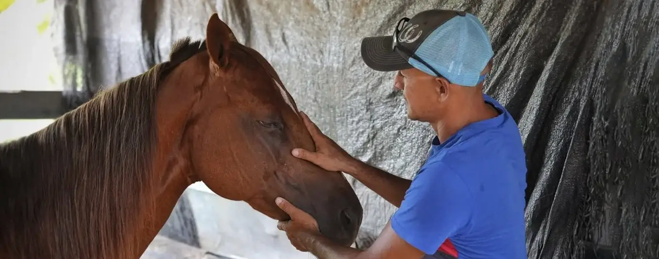 Encefalitis equina desbordada en el Caribe