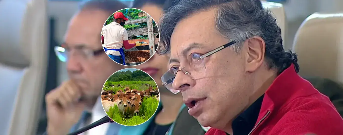 El presidente afirmó que: “la ganadería en el Amazonas es un lavado de activos de la mafia