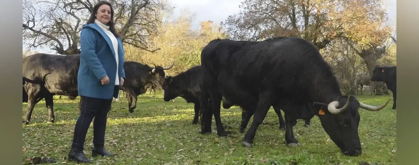 Vaca más vieja en España