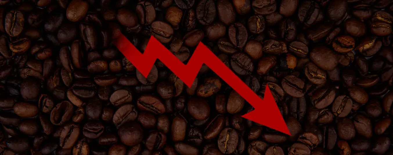 Cae la producción de café en Colombia