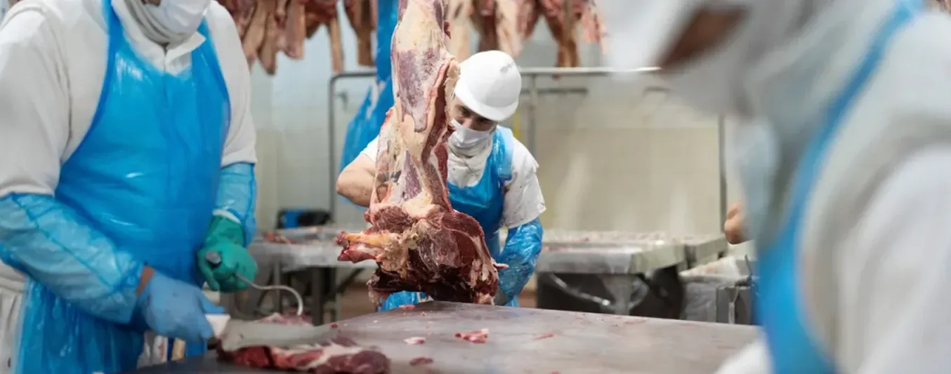Argentina alcanzó su mayor récord histórico en exportaciones de carne