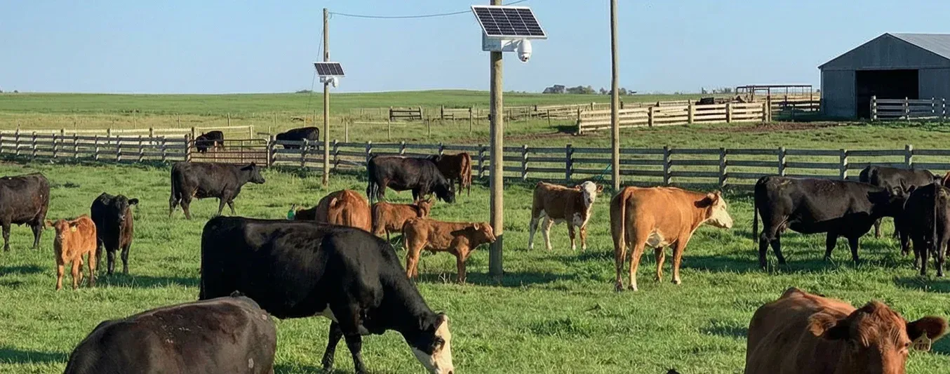 Inicie el año reforzando al seguridad de su finca
