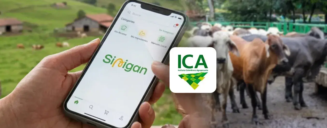 Implementación del Sinigán V6 es responsabilidad exclusiva del ICA: Fedegán