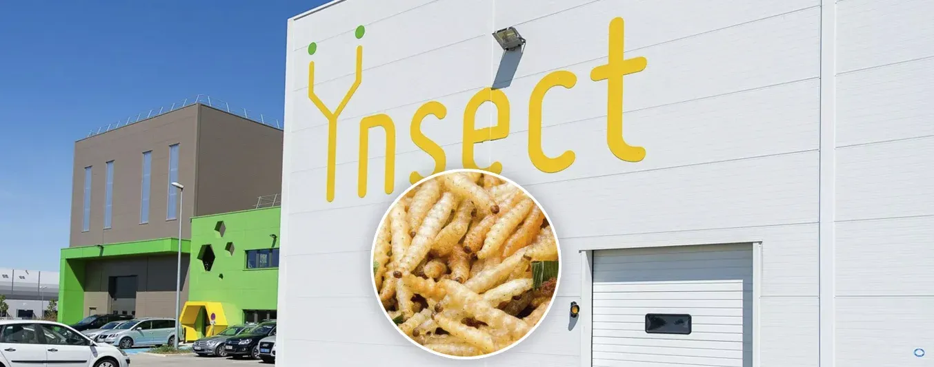 Cayó en bancarrota compañía pionera en crear proteína de insectos