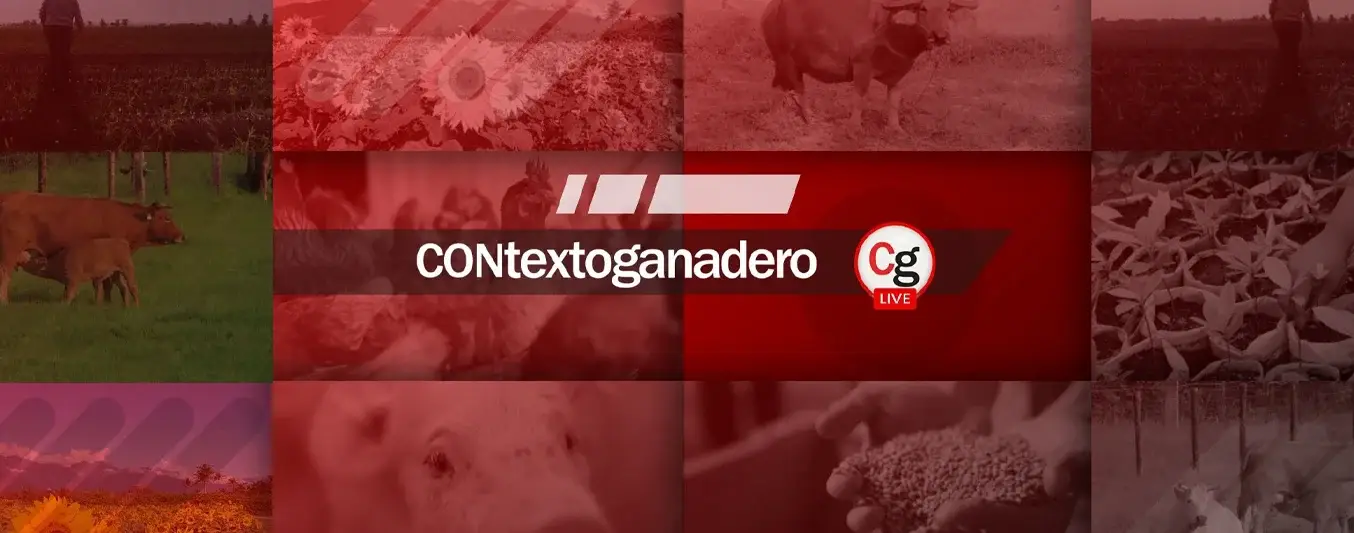 Contexto Live