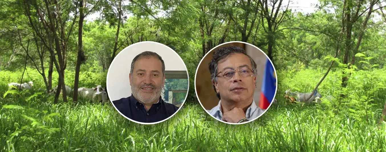 Ricardo Arenas le responde al presidente Petro en cuanto a los beneficios de la ganadería sostenible