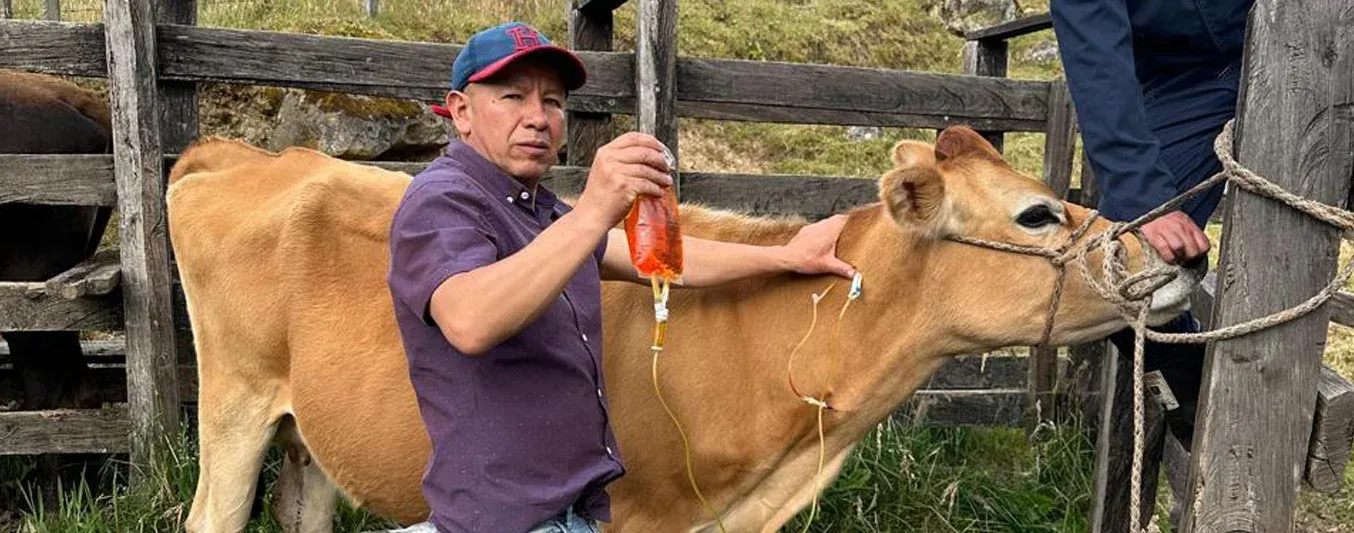 El ganadero que hace parte del plan padrino ganadero