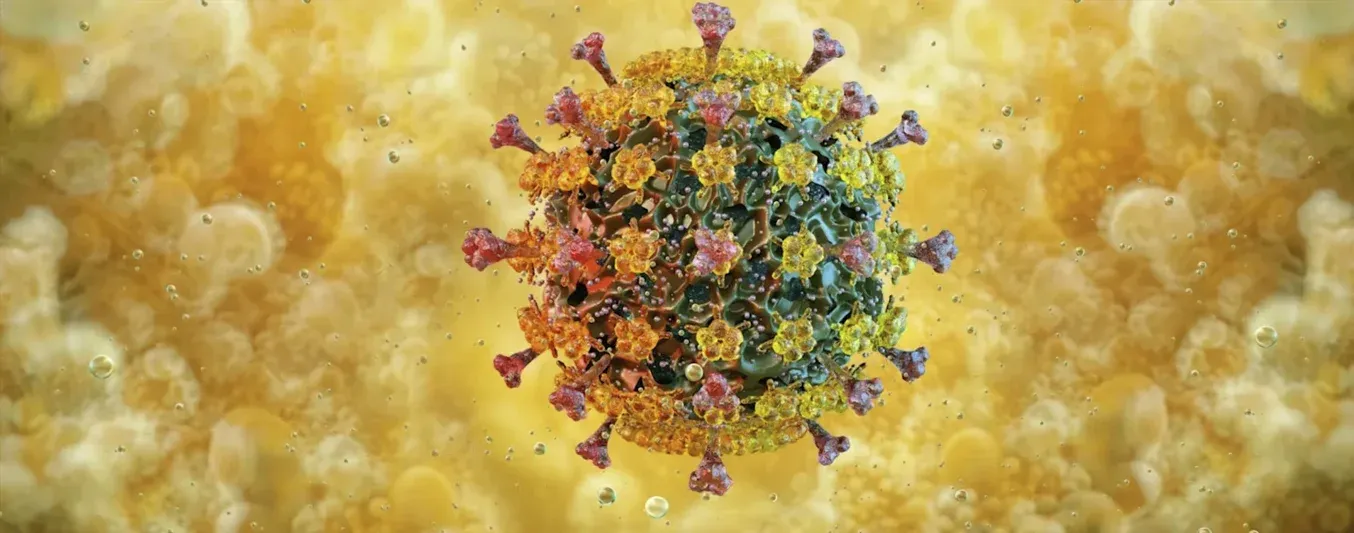 Se registró el primer caso en LATAN de gripe H3N2