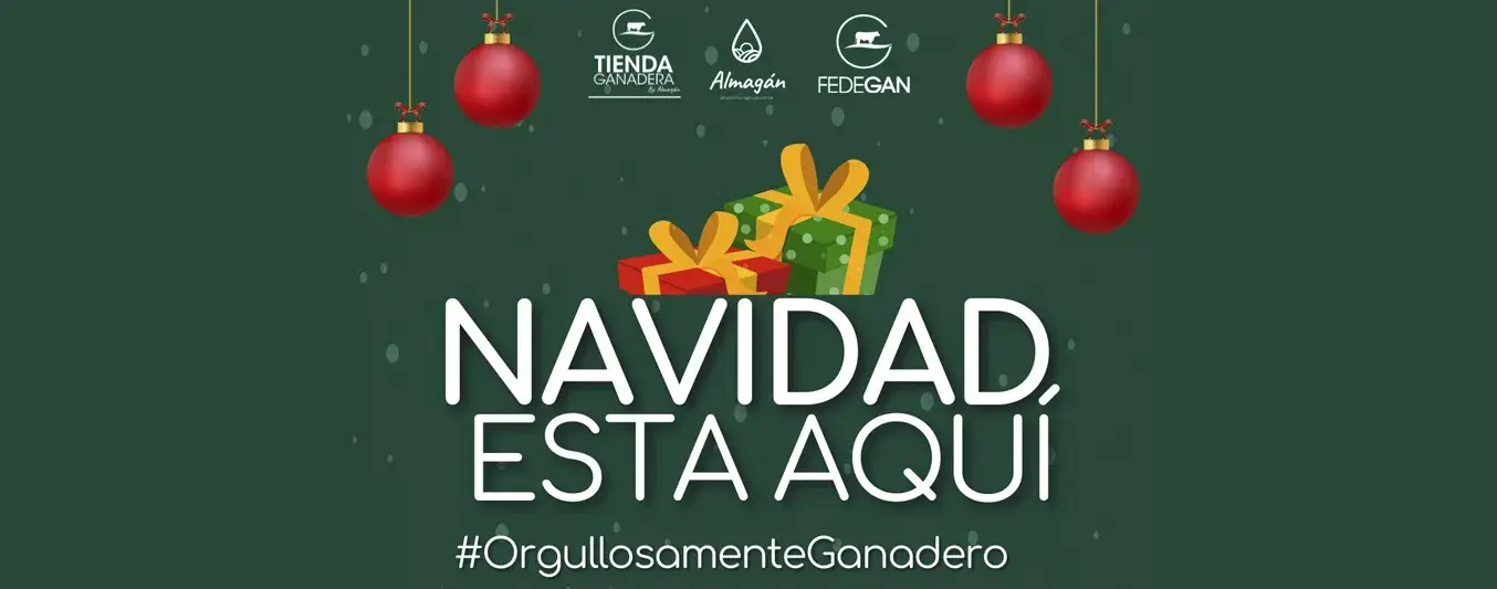 Navidad Almagan