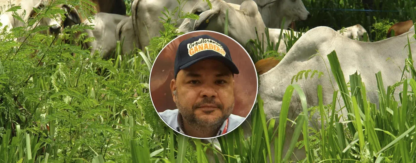 José de Silvestri - Ganadería