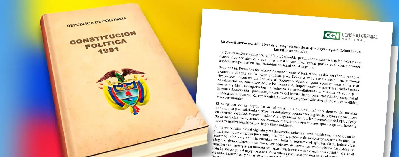 cgn-costitucion-91