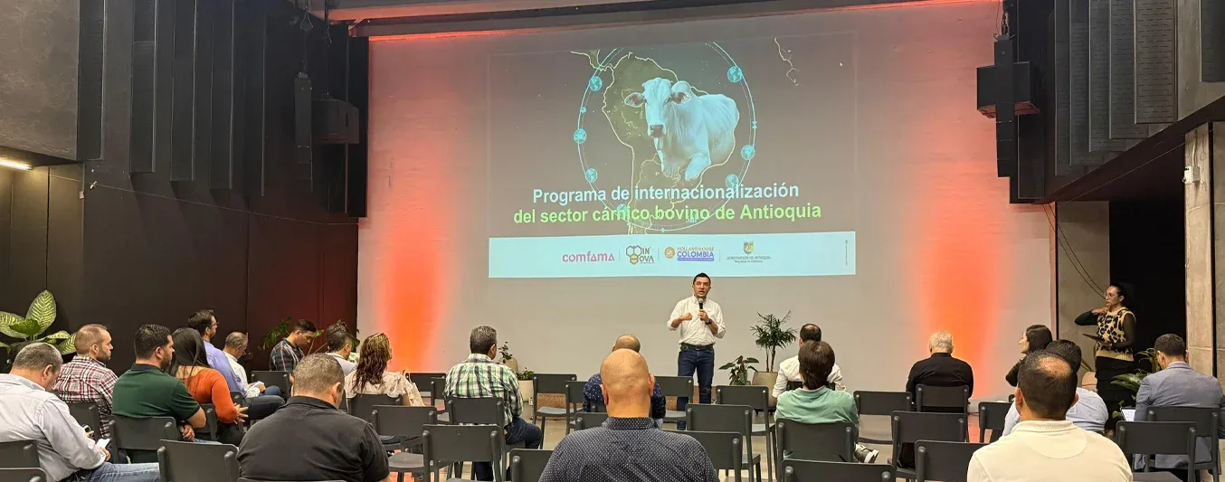 Internalización del sector cárnico bovino