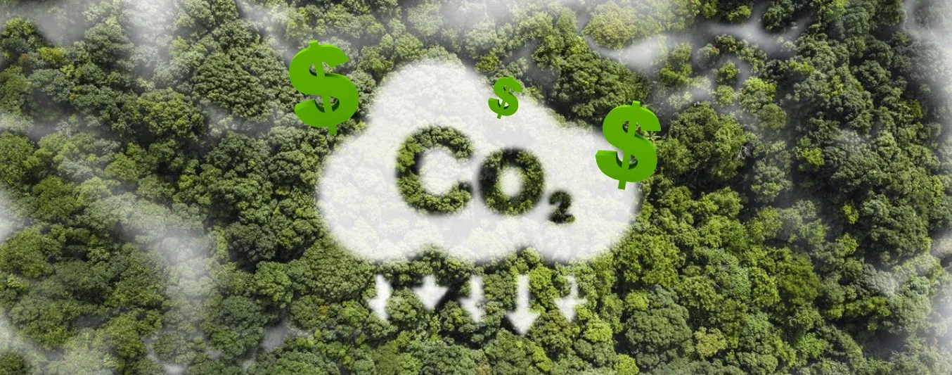 Comités de ganaderos cada vez más cerca de los mercados de carbono