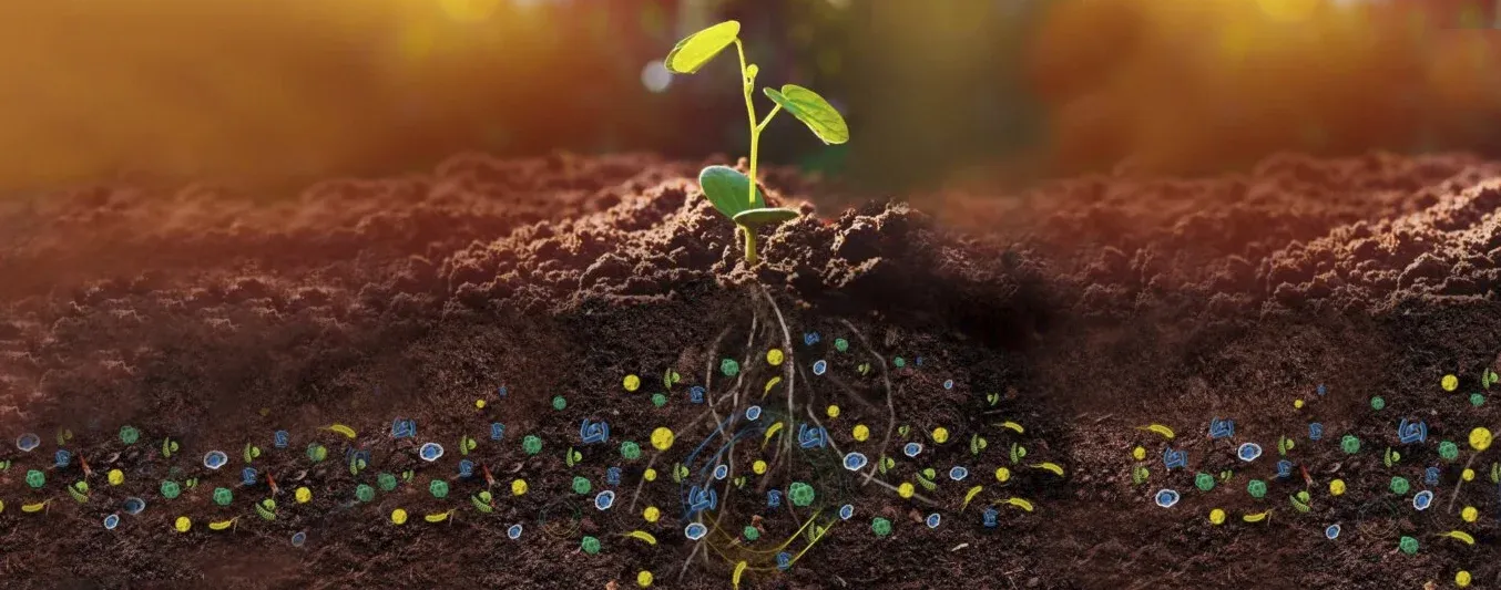 Microorganismos asociados a modelos sostenibles