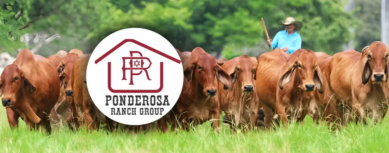 Entrevista hacienda La Ponderosa
