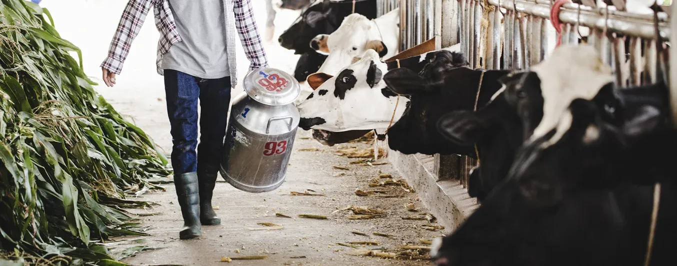 En diciembre también se trabaja