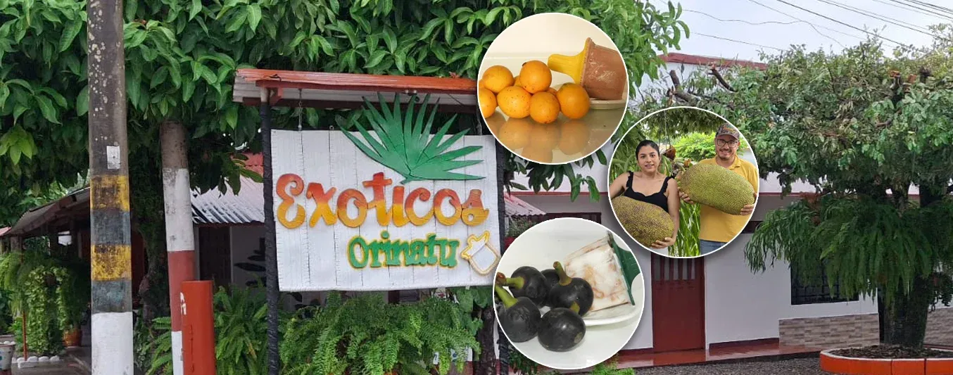 Emprendimiento en el Meta está impulsando el consumo de frutas exóticas cultivadas en Colombia