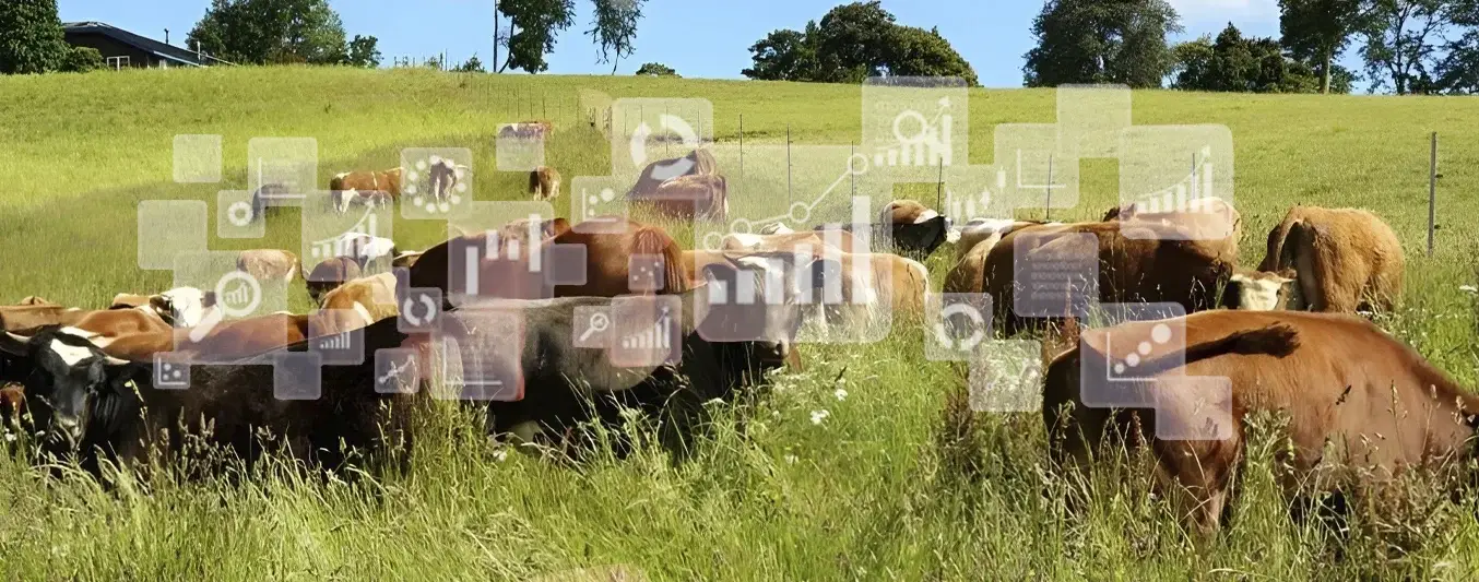 ¿Existen nuevos indicadores productivos en la ganadería?