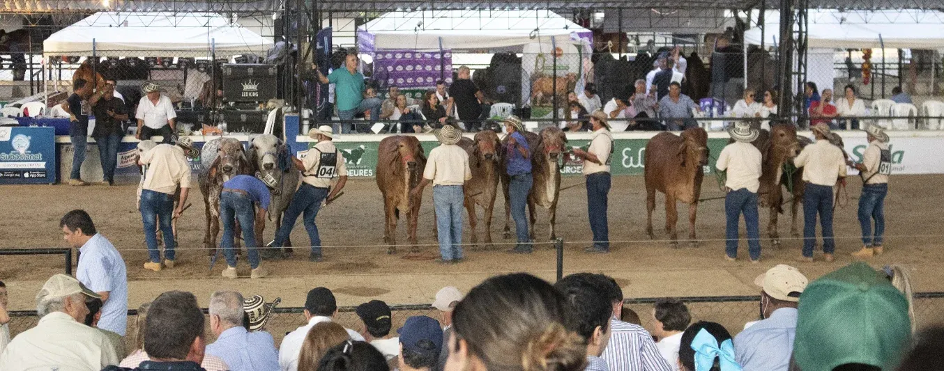Ferias ganaderas en agosto