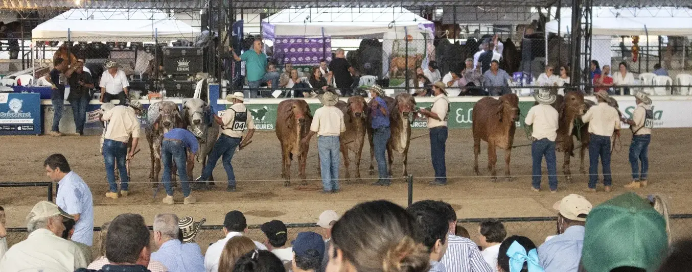 Ferias ganaderas en agosto