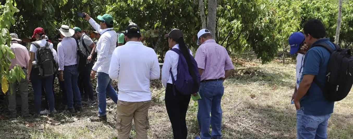 Falta de gestión y conocimiento en los procesos de articulación