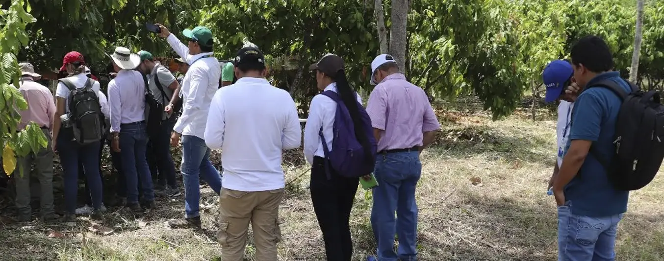 Falta de gestión y conocimiento en los procesos de articulación