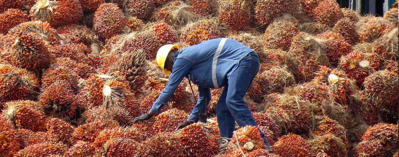 El agro antioqueño sostiene el intercambio comercial con Ecuador pese a la caída general