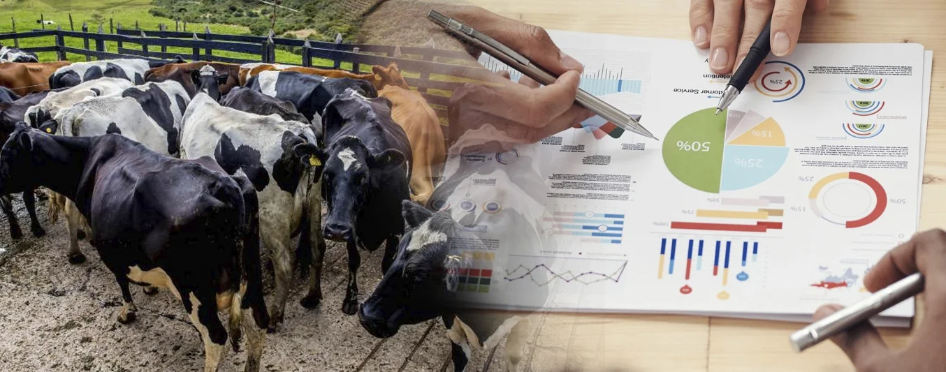 Estrategias para hacer que su ganadería sea más eficiente y rentable | CONtexto Ganadero
