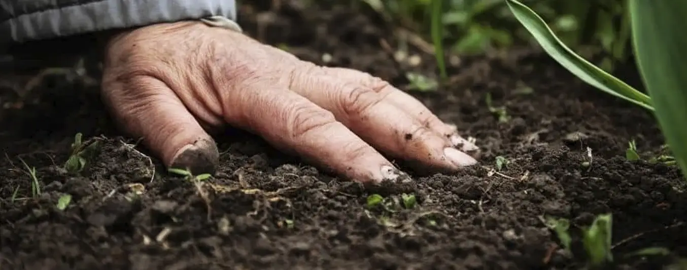 Errores comunes con la materia orgánica