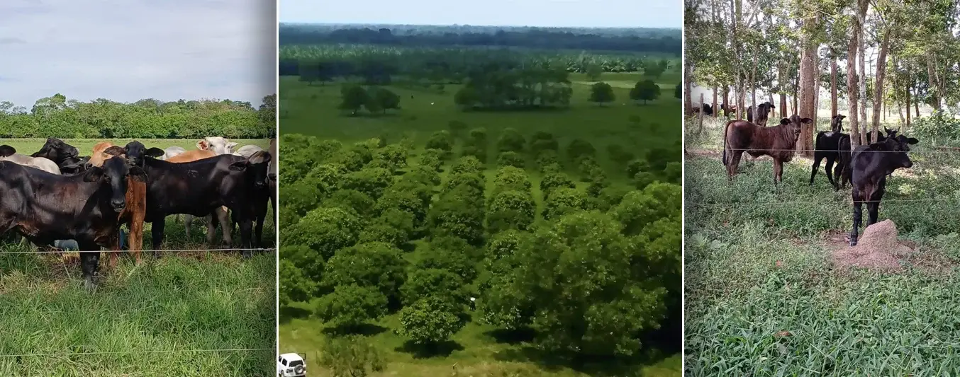 La Carolina se sumergió en la sostenibilidad