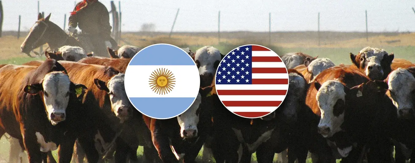 Argentina y EEUU reportaron bajas en sus hatos bovinos