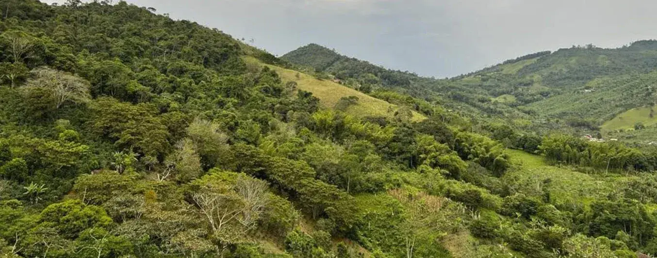 Volver un predio ganadero reserva natural de la sociedad civil
