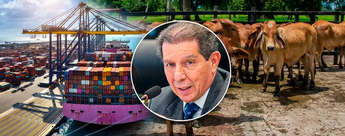 Gobierno de Gustavo Petro busca limitar exportaciones de carne